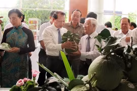 HCM City to enhance new-style rural area criteria quality