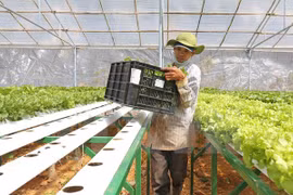 DPRK seeks investment opportunities in Ha Nam