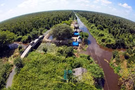 Forestry sector aims to boost productivity