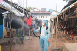 Dengue fever to continue as threat