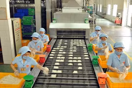Vietnamese businesses pushed to save energy 