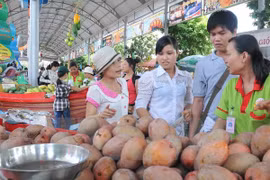 Five key fruits developed in southern region