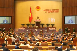 Vietnam, Indonesia share law making experience
