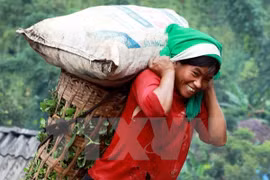 UNDP helps Vietnam abolish gender discrimination 
