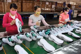 Dong Nai posts record-high footwear export
