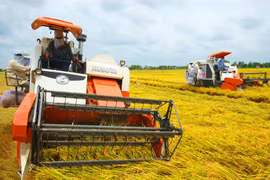 More incentives needed for expanding large-scale fields