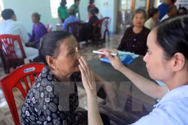 Vietnam interested in global humanitarian issues