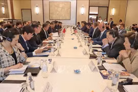 An overview of the seminar (Photo: VNA)