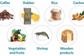 Agro-forestry-fishery export turnover increases over 13%