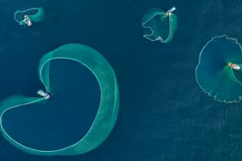 Breathtaking net-fishing moments off coast of Phu Yen 