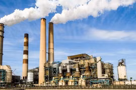 Vietnamese firms engage in Net Zero race 