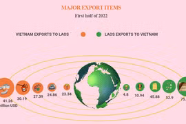 Vietnam – Laos trade turnover growing sustainably