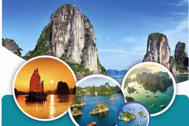 10 must-do activities while exploring Ha Long Bay 