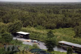 U Minh Thuong National Park biosphere ecotourism