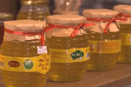 Building a brand for mint flower honey from Dong Van Karst Plateau