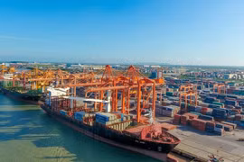 Vietnam looks to upgrade int'l merchant fleet