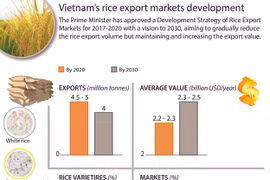 Vietnam’s rice export markets development strategy