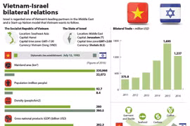 Vietnam-Israel bilateral relations