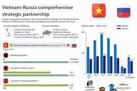 Vietnam-Russia comprehensive strategic partnership