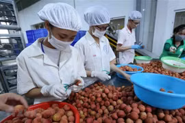 Vietnam, Japan discuss boosting trade of consumer goods 