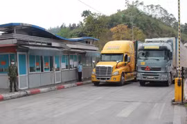 Exports to China projected to bounce back: MoIT