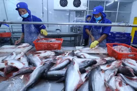Tra fish exports plummet 39 pct. in first five months