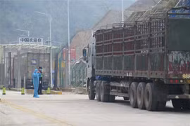 Lang Son restores cross-border trade activities by locals