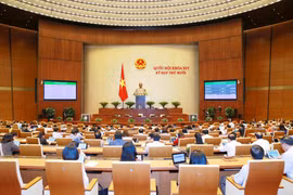 NA approves new Government officials, resolution on 2021 budget estimate