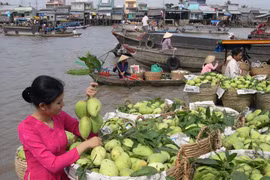 An Giang province promotes agro-fishery exports