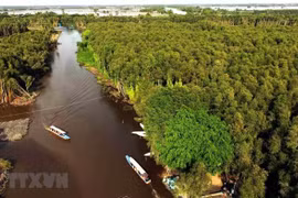 Mekong Delta localities urged to work harder to complete yearly targets