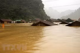 Prime Minister directs provision of seeds to flood-hit provinces