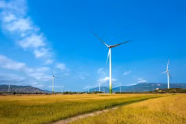 Wind power plant set to operate in Ninh Thuan