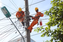 EVN produces one third of domestic electricity output