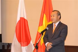 Vietnam, Japan coordinate closely to fight COVID-19: Ambassador 