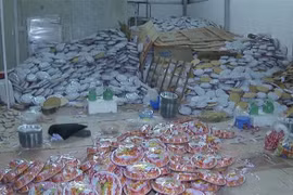 More work needed to fight trade fraud, smuggling