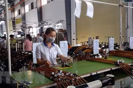 Vietnam moves to increase capacity of supporting industries
