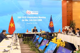 Senior officials meet to prepare for 14th EAS Energy Ministers Meeting
