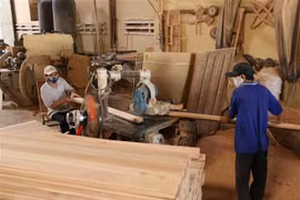 Forestry exports reach 5.3 billion USD in six months