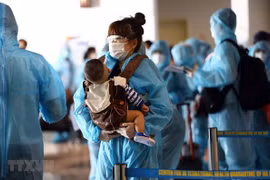 Over 220 Vietnamese citizens brought home from Japan