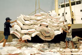 Vietnam ready to stabilise price of rice, pork 