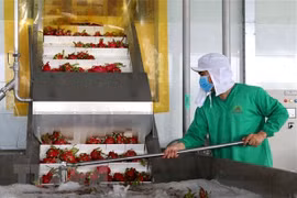 Quality needed to boost agricultural, aquatic exports