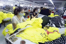 HCM City firms expect further support to overcome difficulties