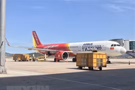 Nearly 180 Vietnamese citizens flown home from Brunei