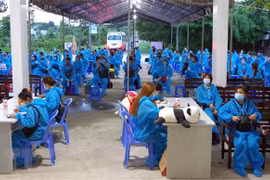 More Vietnamese citizens flown home from Europe 