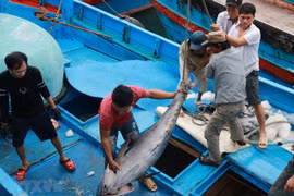 Shrimp, tuna exports to EU see positive signs