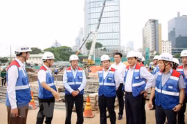 HCM City should seek to push ahead with ODA disbursement: Deputy PM 