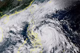 Natural disasters cost Vietnam nearly 1.3 bln USD so far this year