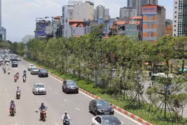 Air quality in big cities improves in last month