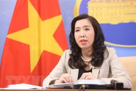 Vietnam strongly protests establishment of so-called Sansha city