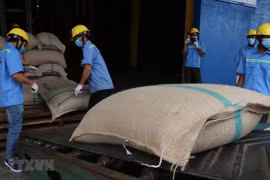 Vietnam, Algeria boost online trade amid COVID-19
